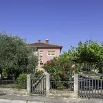 Oleandro * Póla